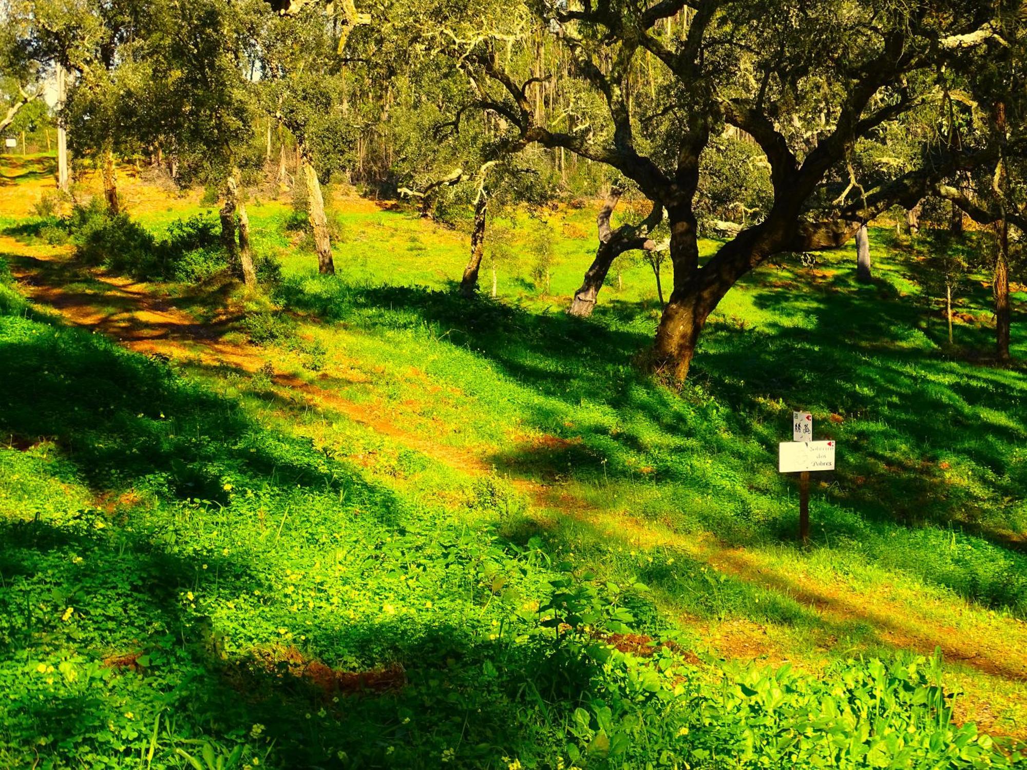 Herdade Vale De Gaios By Stay In Alentejo São Luis Exterior foto