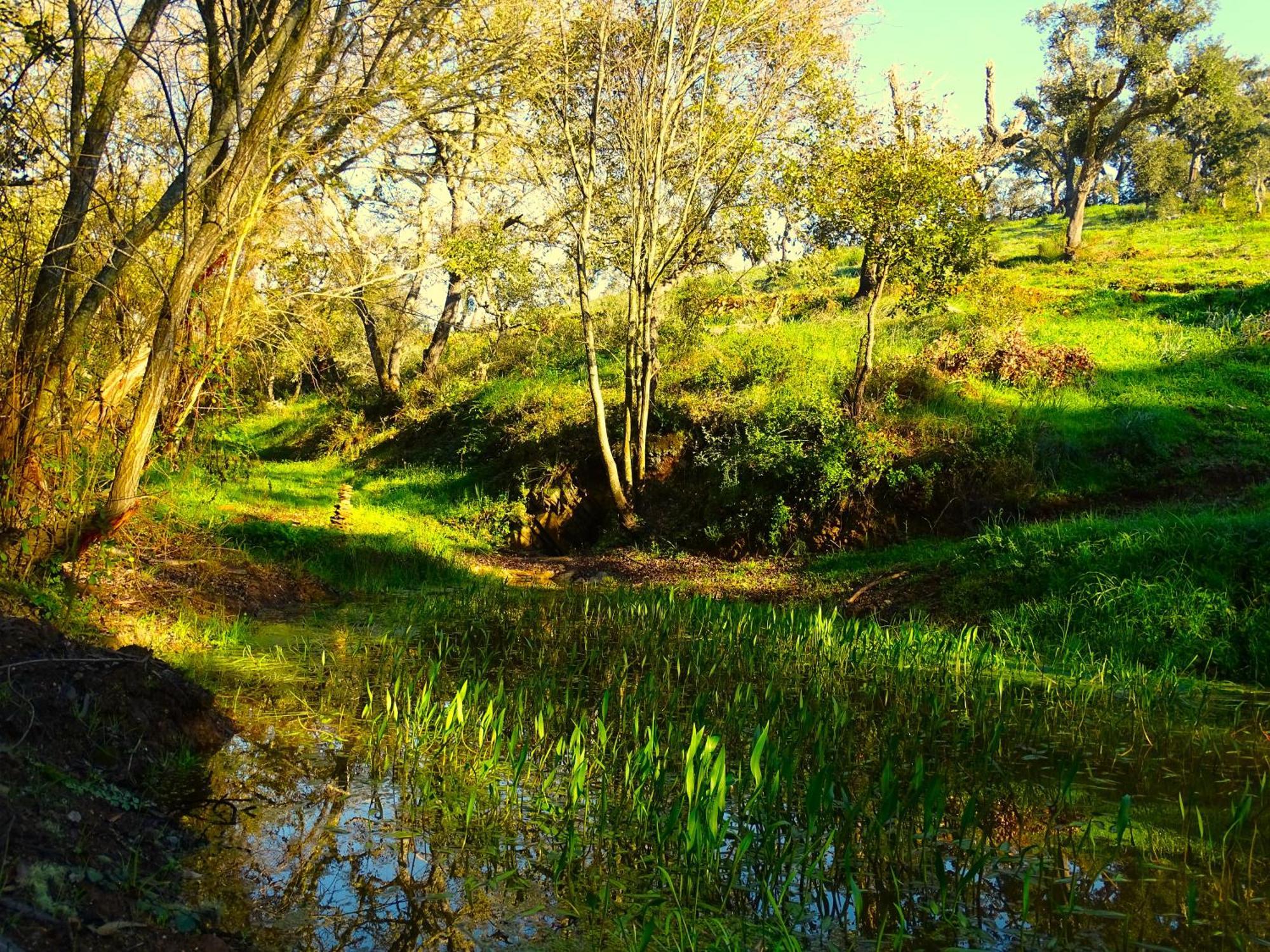 Herdade Vale De Gaios By Stay In Alentejo São Luis Exterior foto